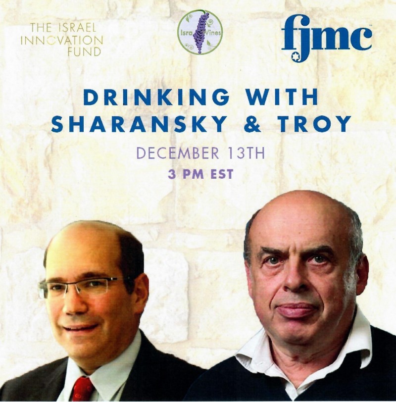WineOnTheVineLChaim.jpg